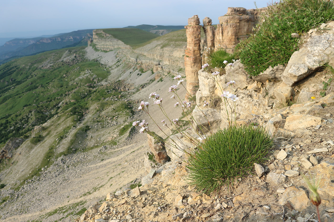 Большой Бермамыт, image of landscape/habitat.