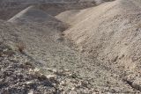 Image of landscape