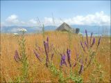 Окрестности Суджукской лагуны, image of landscape/habitat.