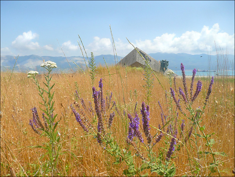 Окрестности Суджукской лагуны, image of landscape/habitat.