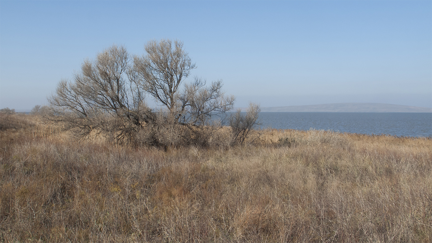 Бугазская коса, image of landscape/habitat.