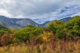 Урочище Парагильмен, image of landscape/habitat.