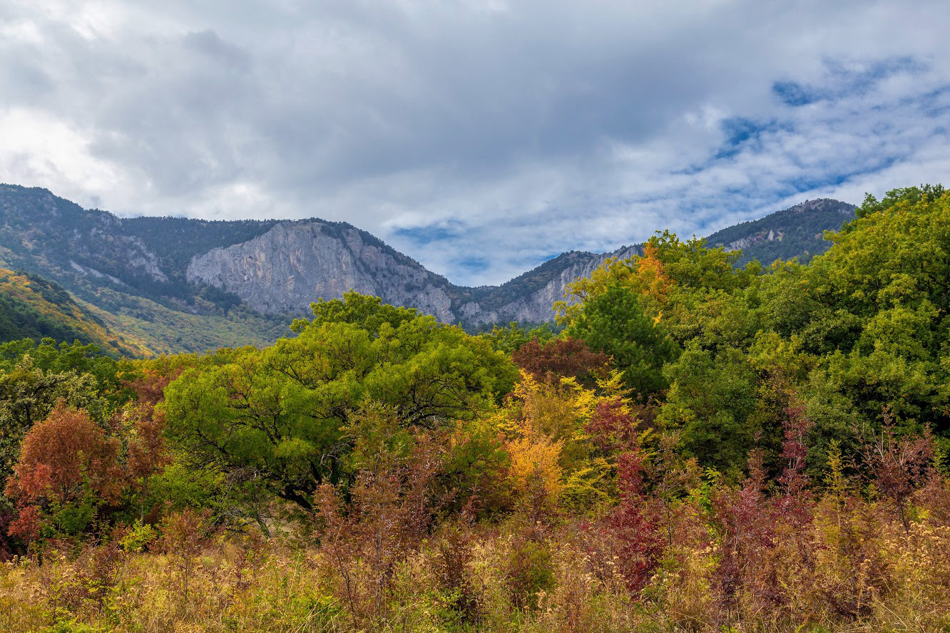 Урочище Парагильмен, image of landscape/habitat.