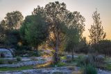 Image of landscape