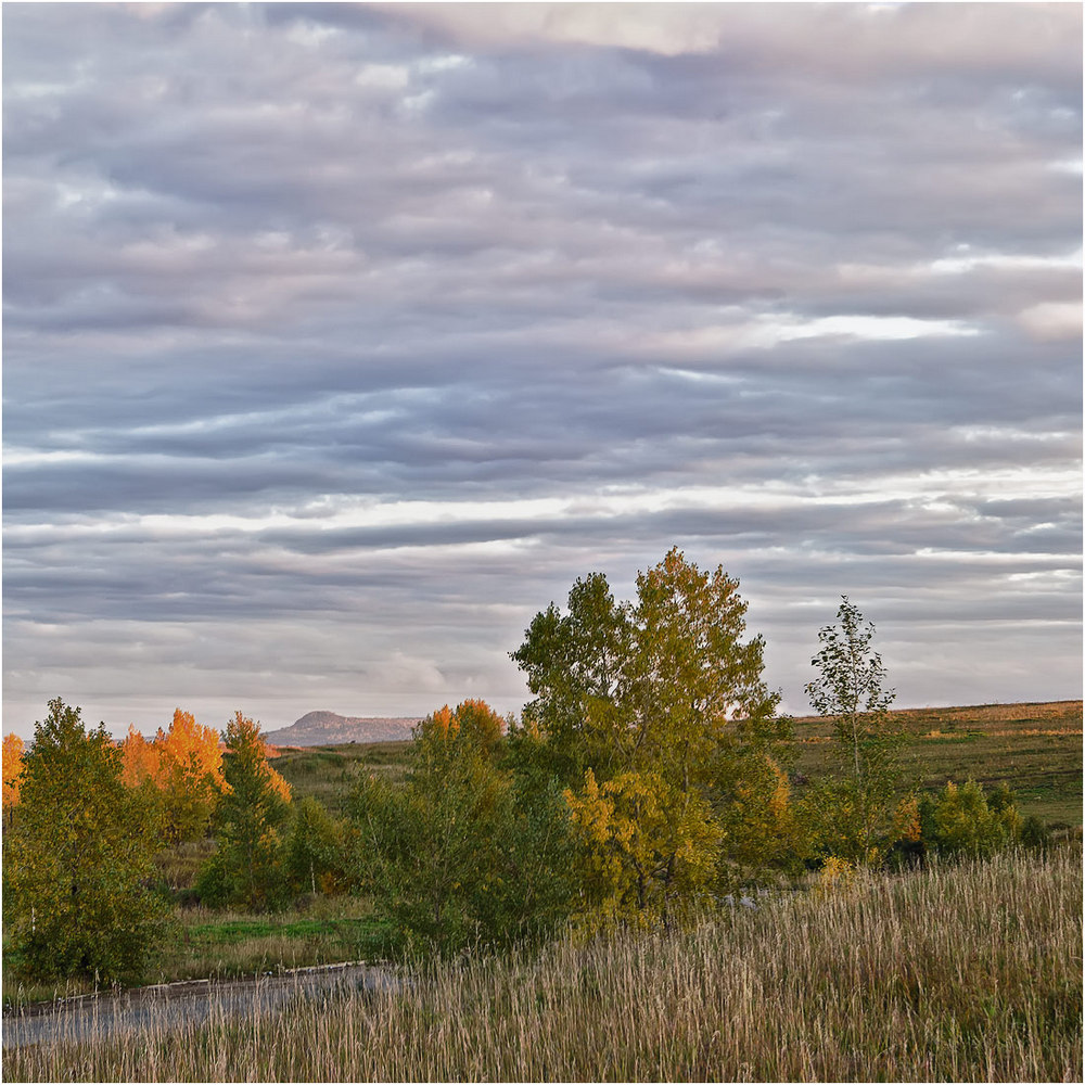 Красноярск и окрестности, image of landscape/habitat.
