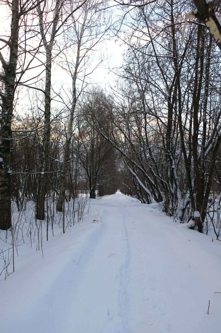 Лосино-Петровский и окрестности, изображение ландшафта.