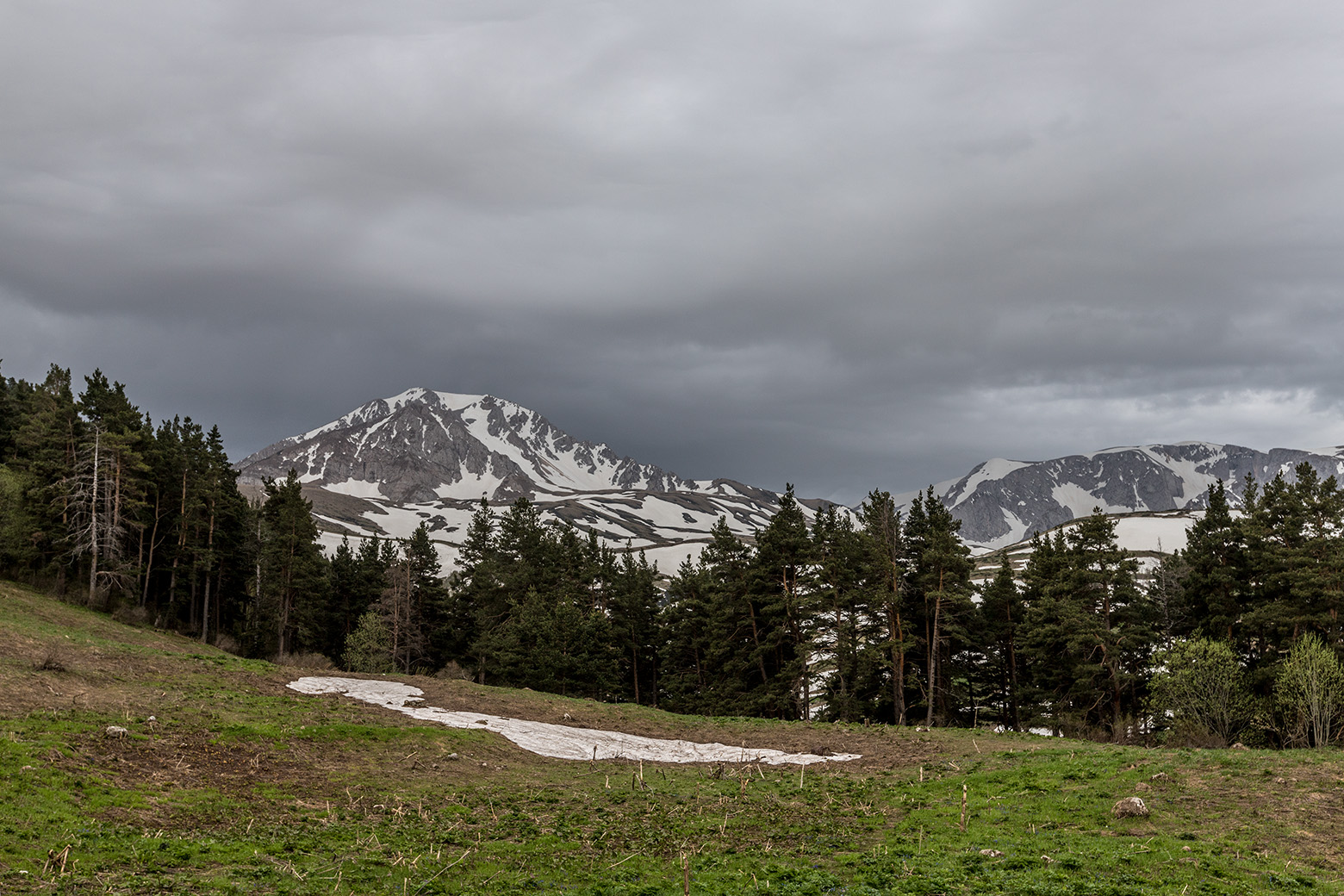 Верхняя Цица, image of landscape/habitat.