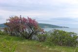 Image of landscape