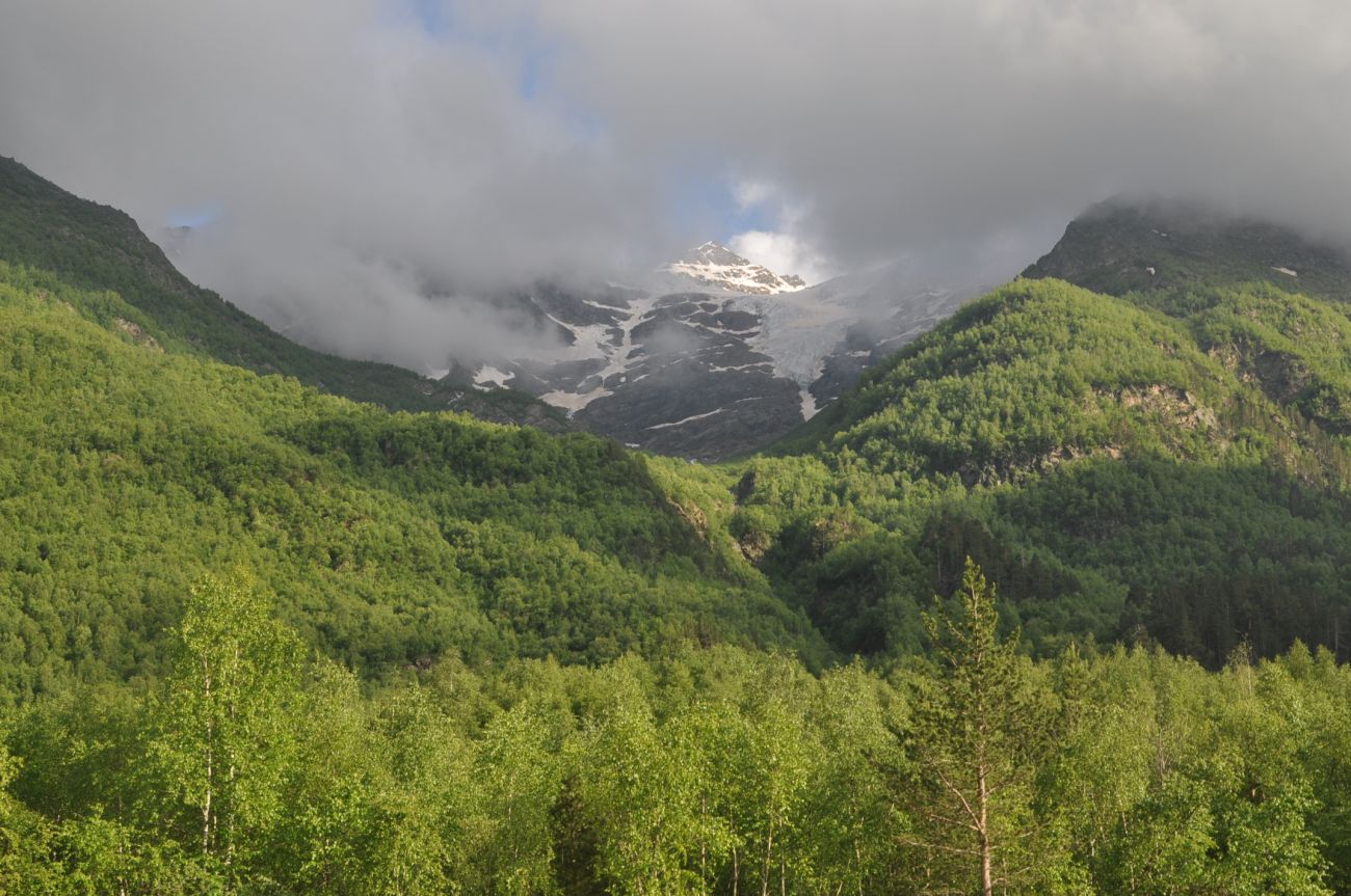 Гора Большой Когутай, image of landscape/habitat.