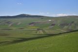 Окрестности села Гандзани, image of landscape/habitat.