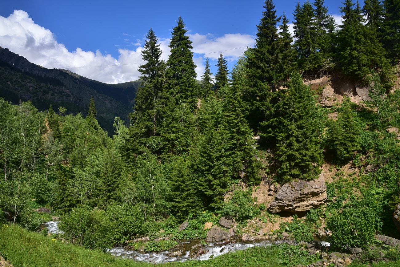 Кашикли, image of landscape/habitat.