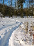 Звенигородский край, image of landscape/habitat.