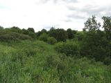 Image of landscape