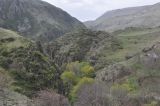 Зеда Вардзиа, image of landscape/habitat.