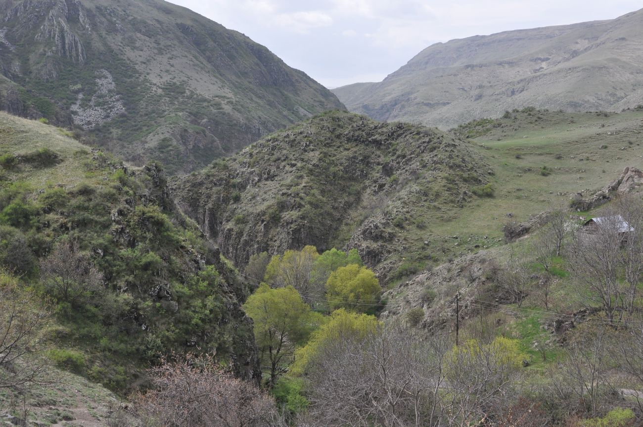Зеда Вардзиа, image of landscape/habitat.