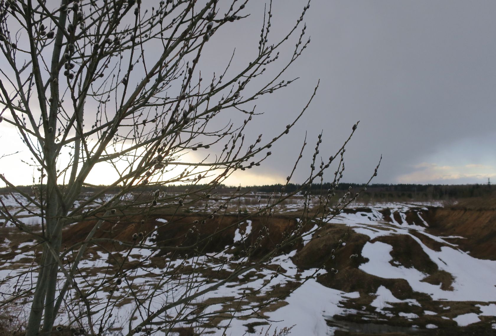 Ерденево, image of landscape/habitat.