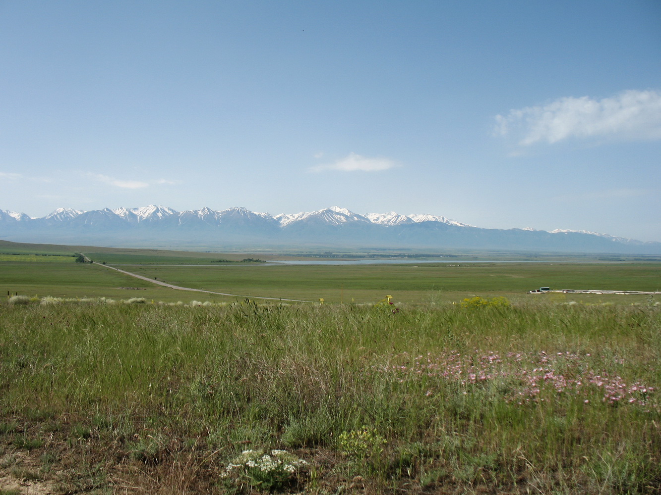 Перевал Куюк, image of landscape/habitat.