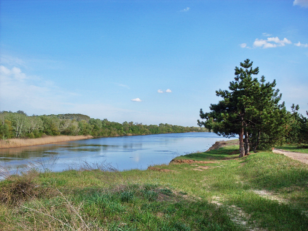 Заказник "Нижне-Кундрюченский", image of landscape/habitat.