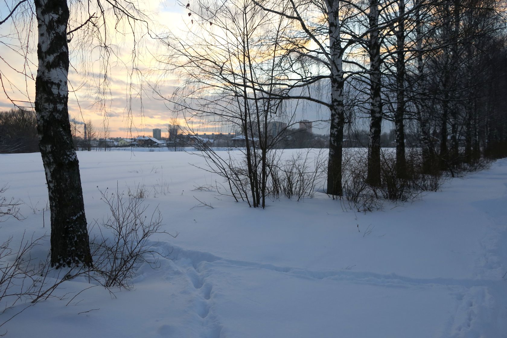 Лосино-Петровский и окрестности, изображение ландшафта.