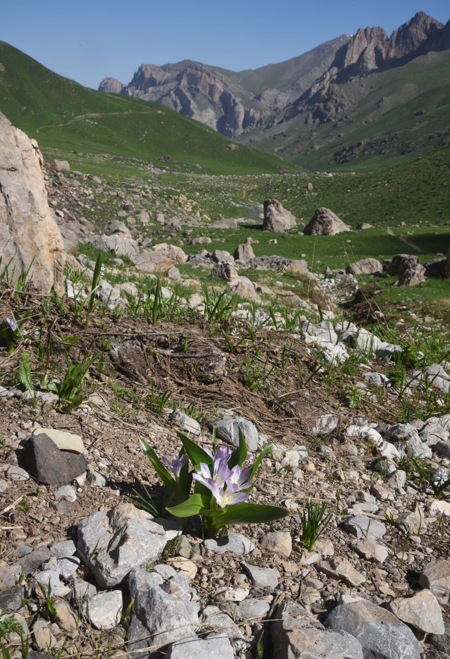 1 км от базового лагеря, изображение ландшафта.