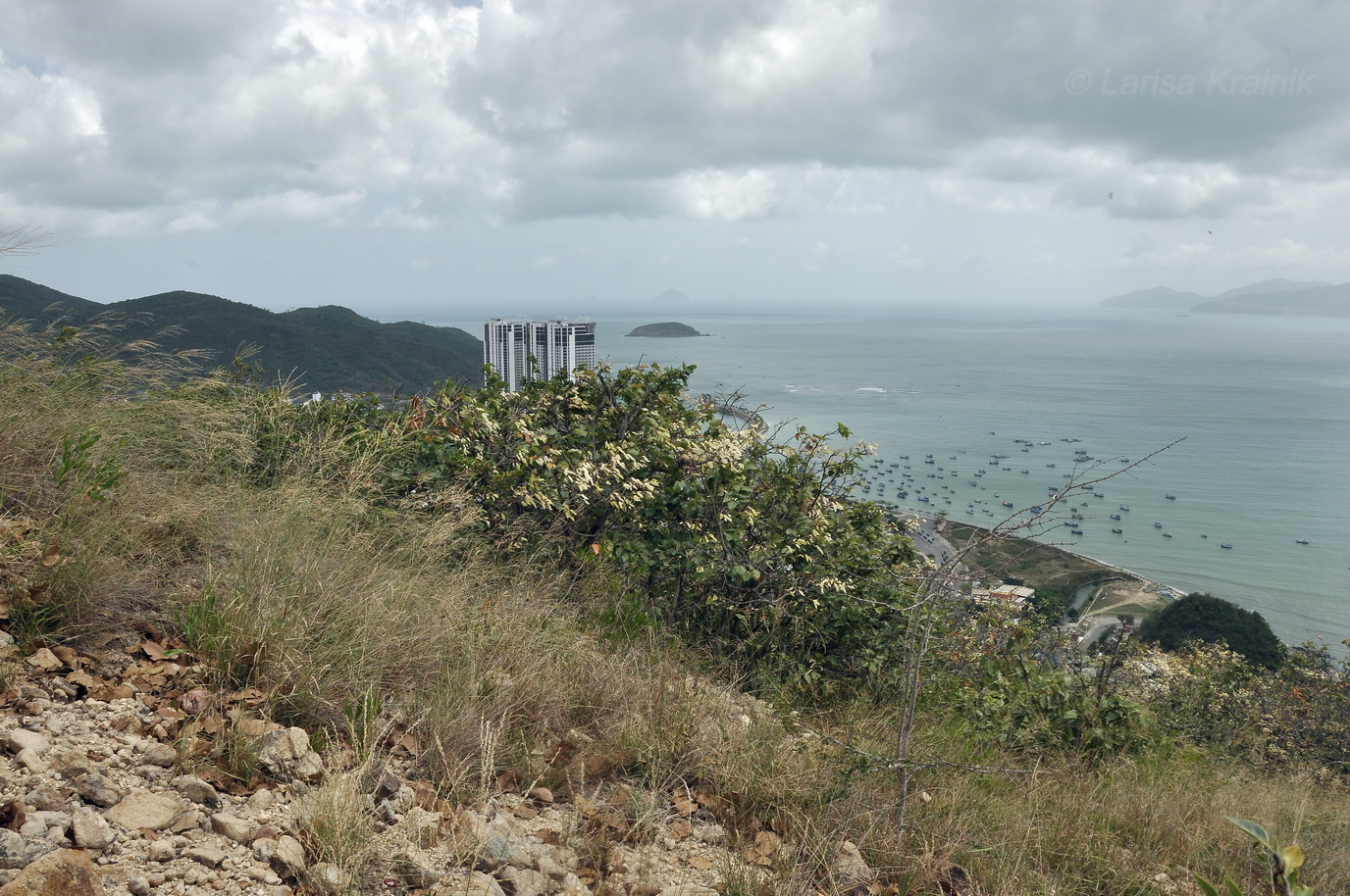 Гора Ангелов (Co Tien), image of landscape/habitat.