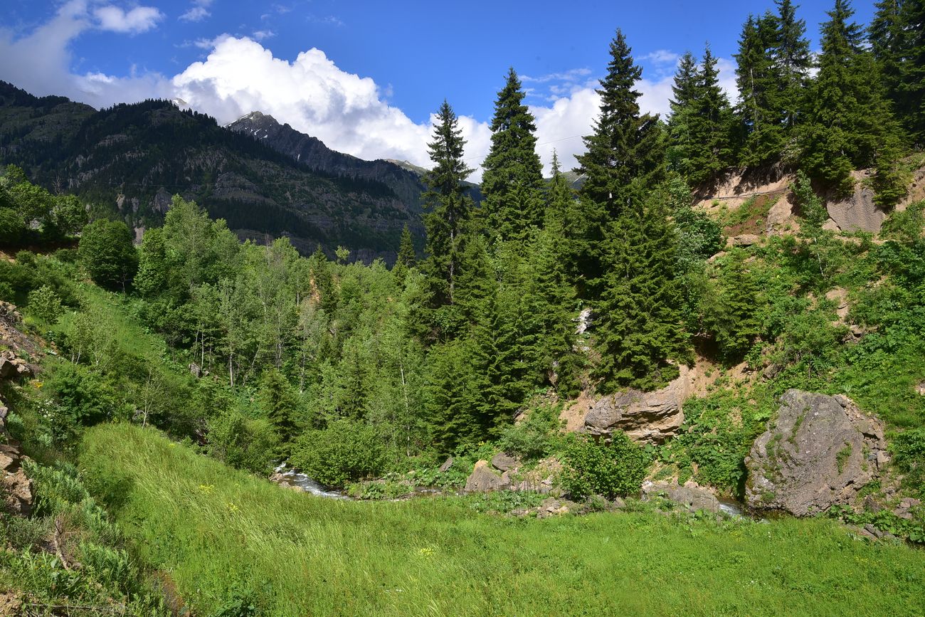 Кашикли, image of landscape/habitat.