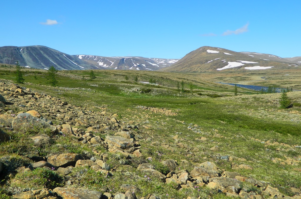 Хойла, image of landscape/habitat.