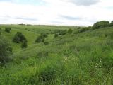 Image of landscape