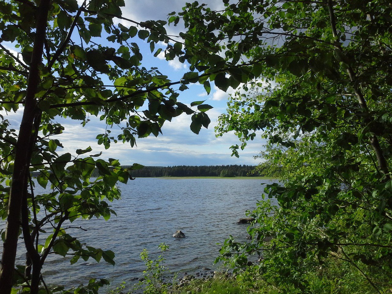 Медвежьегорск и окрестности, image of landscape/habitat.