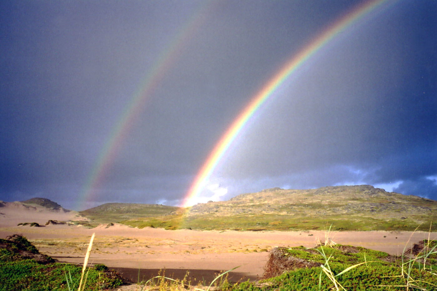 Долина ручья Хохрячий, image of landscape/habitat.