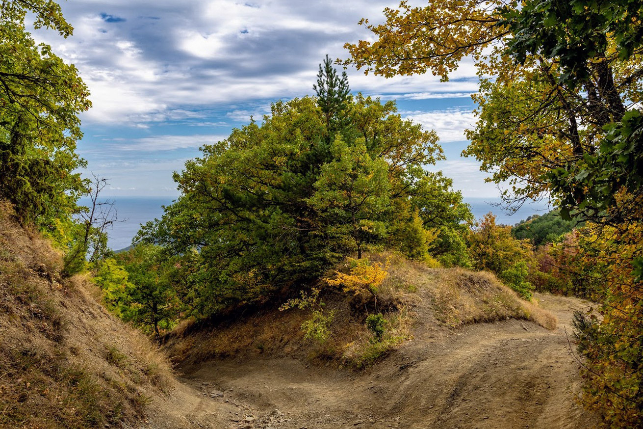 Урочище Парагильмен, image of landscape/habitat.