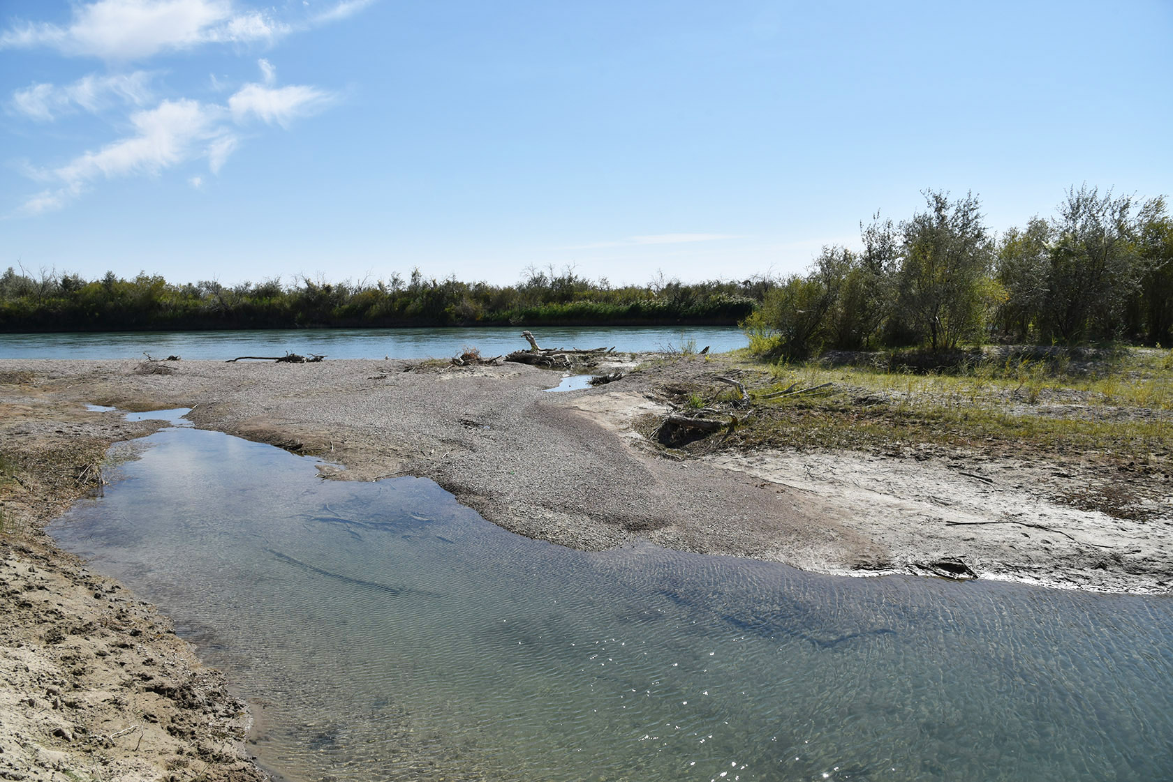 Узынтубек, image of landscape/habitat.