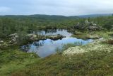 Могильный Ров, image of landscape/habitat.