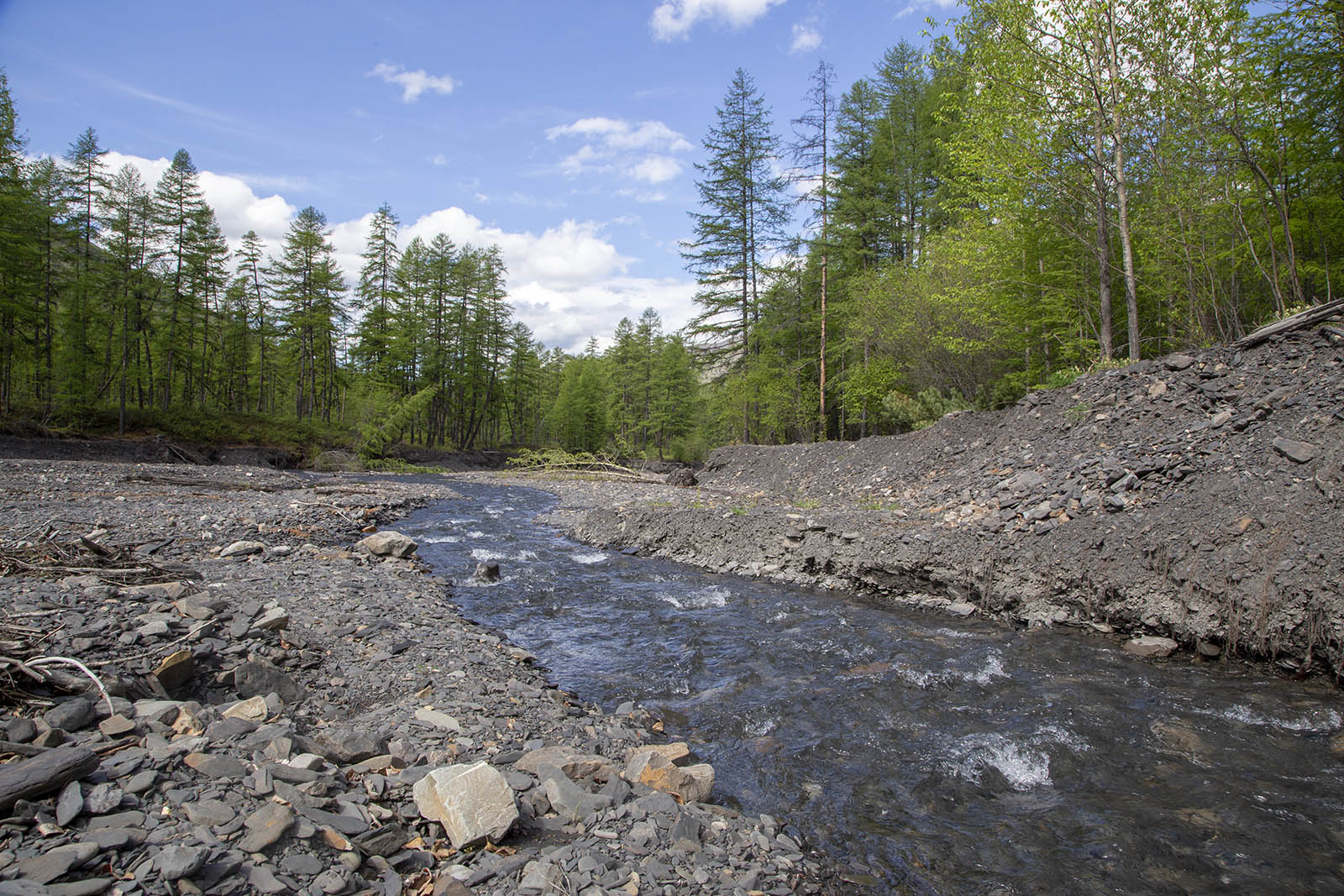 Сунтар-Хаята, image of landscape/habitat.
