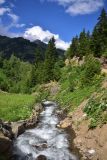 Кашикли, image of landscape/habitat.