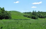 Image of landscape