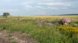 Image of landscape