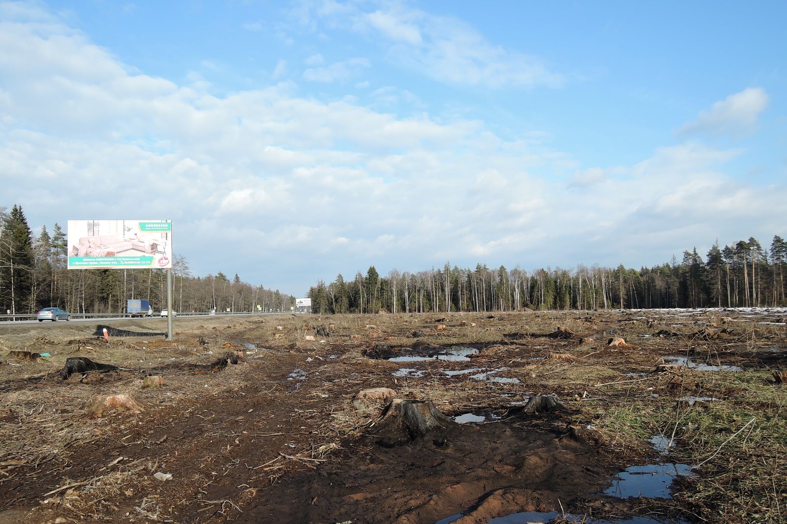 Вырубка на 72-м км трассы М7, image of landscape/habitat.