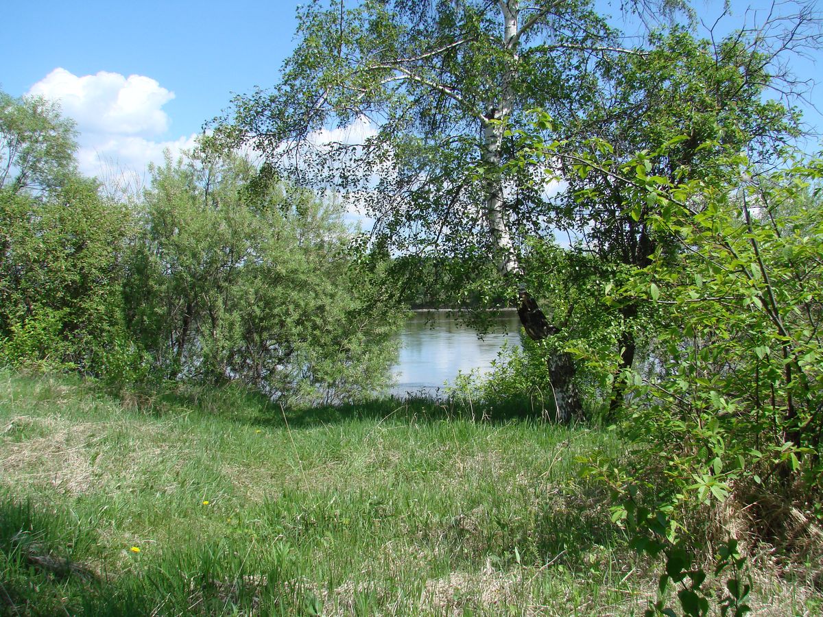 Остров Беляева, image of landscape/habitat.