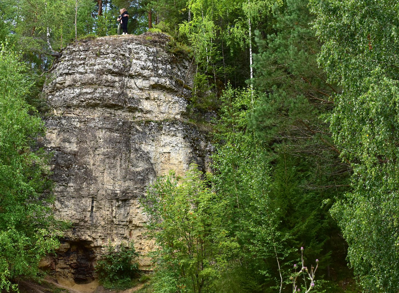 Береснятский БГК, image of landscape/habitat.