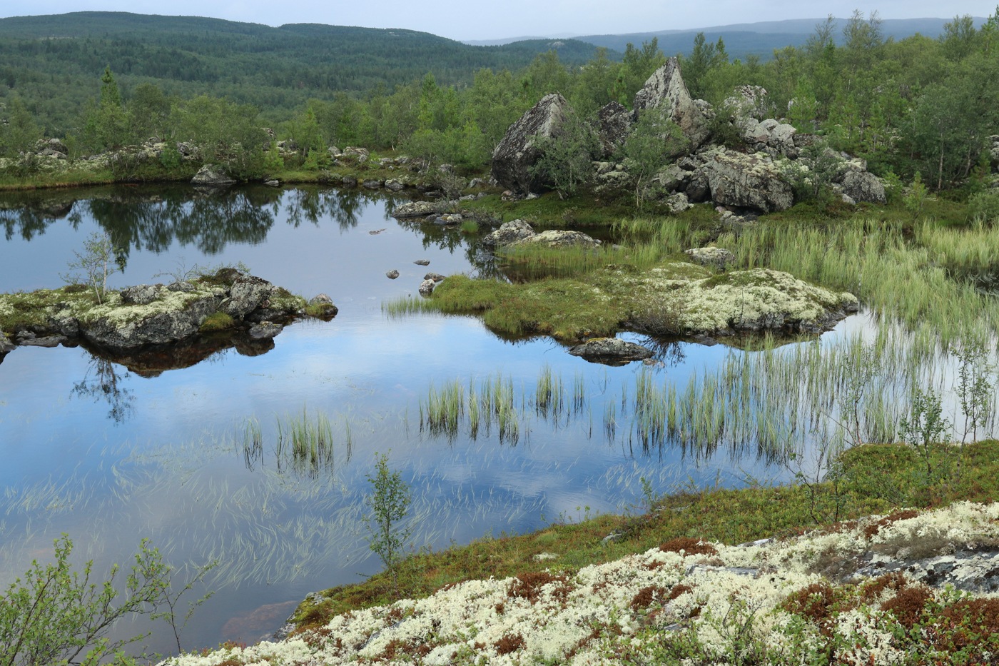 Могильный Ров, image of landscape/habitat.