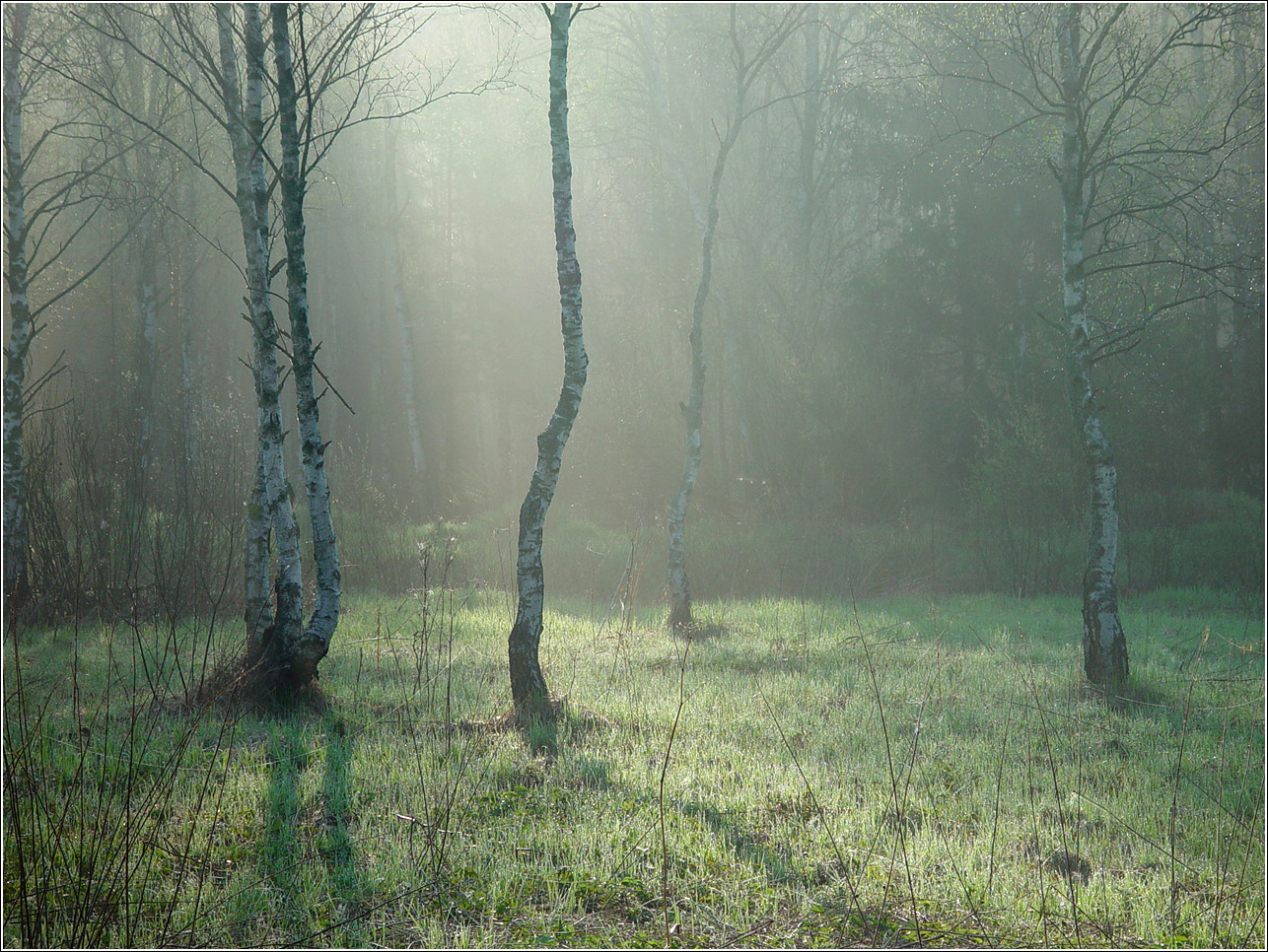 Окрестности Хрипани, image of landscape/habitat.