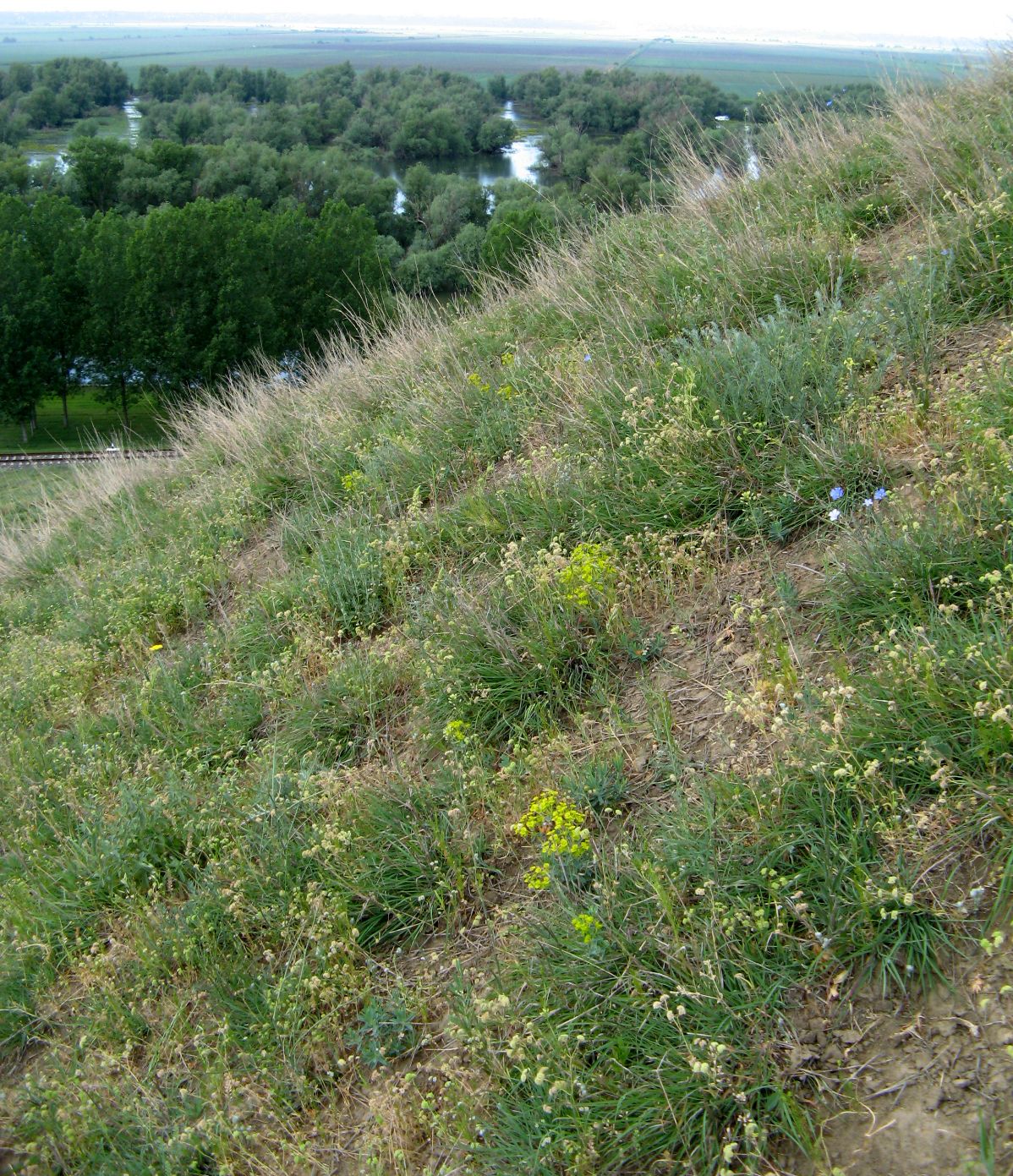 Джурджулешть, image of landscape/habitat.