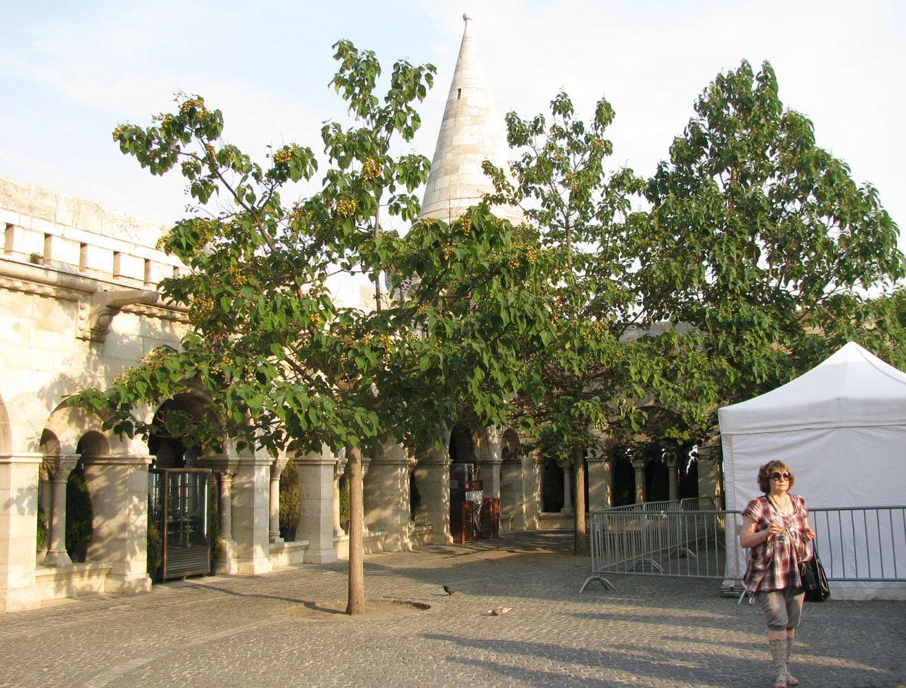 Будапешт, image of landscape/habitat.