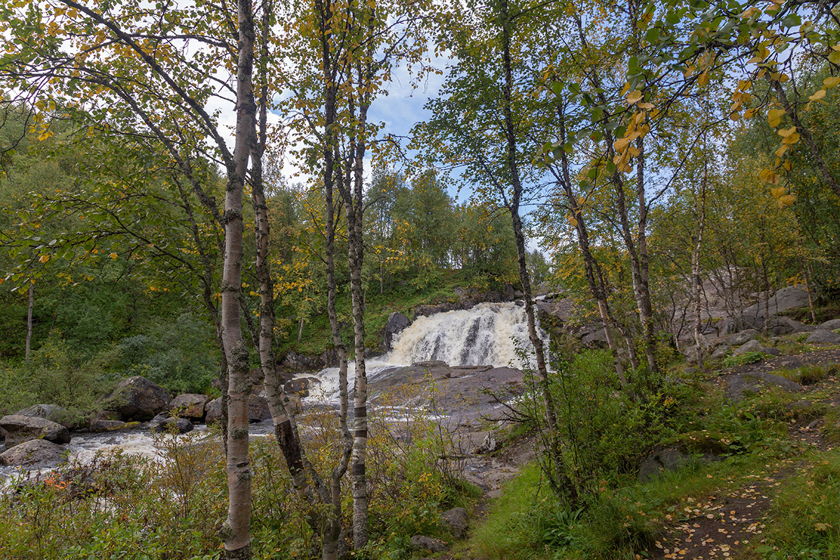Лавна, image of landscape/habitat.