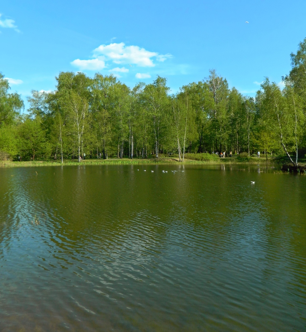 ГБС РАН, image of landscape/habitat.