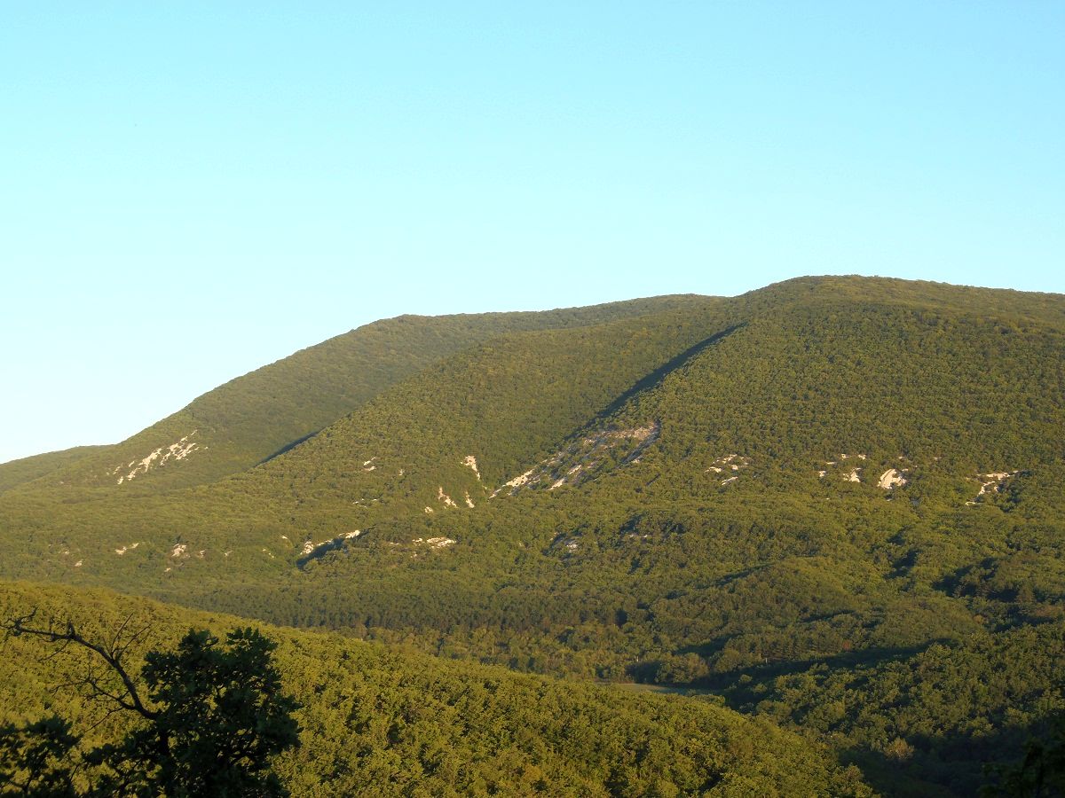 Топловский монастырь, image of landscape/habitat.