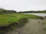 Ханмей в окрестностях Обской, image of landscape/habitat.