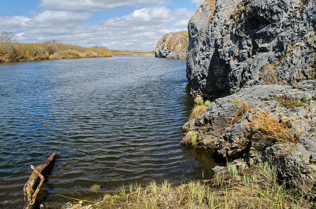 Окрестности Белоключевки, image of landscape/habitat.