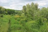 Река Неберджай, image of landscape/habitat.